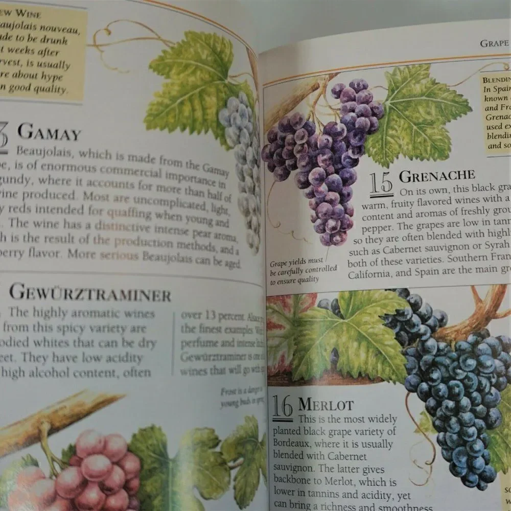 Wine 101 Essential Tips DK Books 2003 Color Paperback